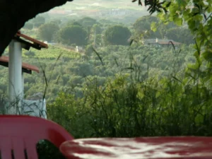 Home 13. red house view